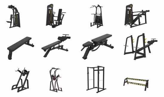 Chaise romaine de musculation multifonction réglable