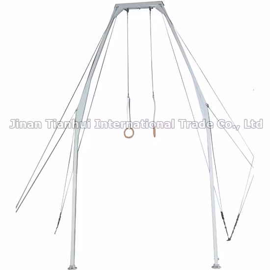 Entraîneur professionnel de force de bras de gymnastique pour l'anneau de gymnastique